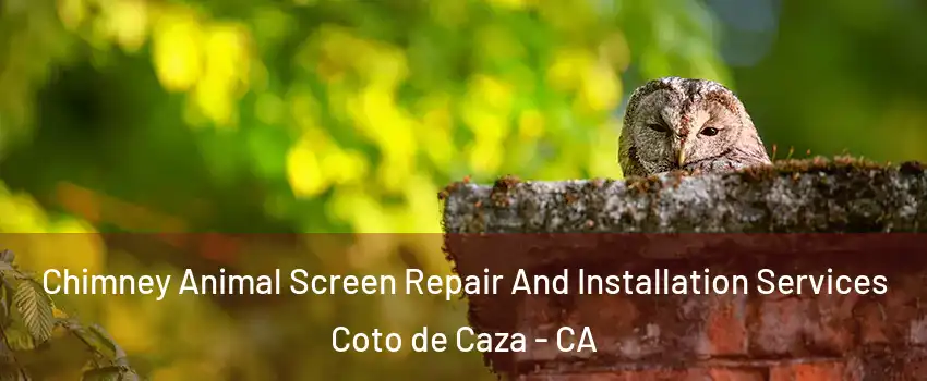 Chimney Animal Screen Repair And Installation Services Coto de Caza - CA