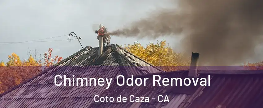  Chimney Odor Removal Coto de Caza - CA