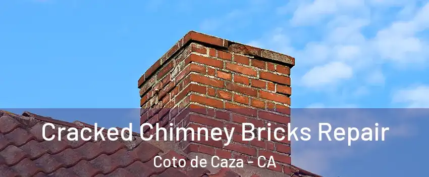  Cracked Chimney Bricks Repair Coto de Caza - CA