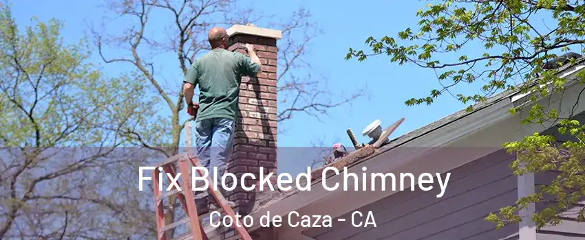  Fix Blocked Chimney Coto de Caza - CA