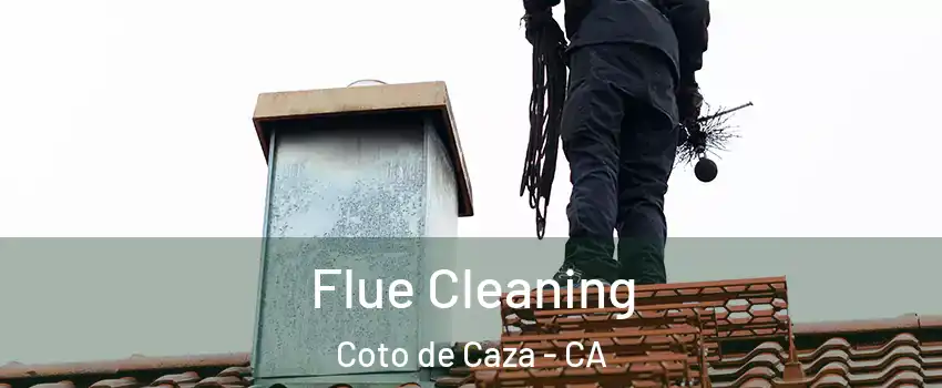  Flue Cleaning Coto de Caza - CA