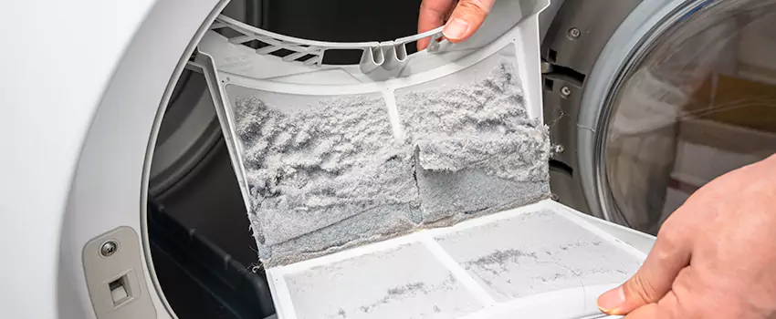 Best Dryer Lint Removal Company in Coto de Caza, California