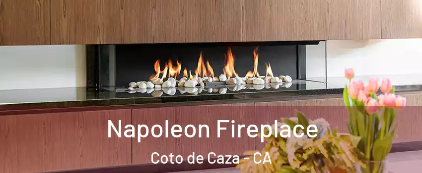  Napoleon Fireplace Coto de Caza - CA