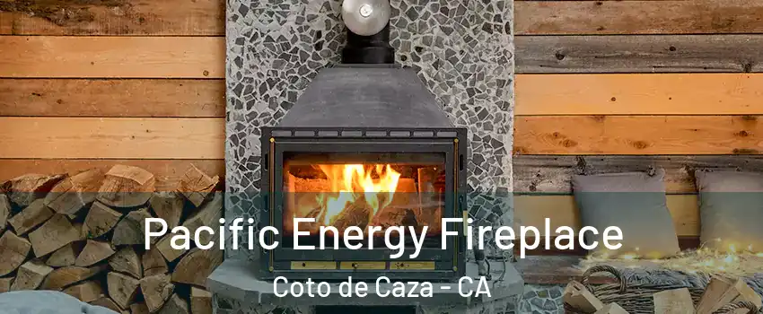  Pacific Energy Fireplace Coto de Caza - CA